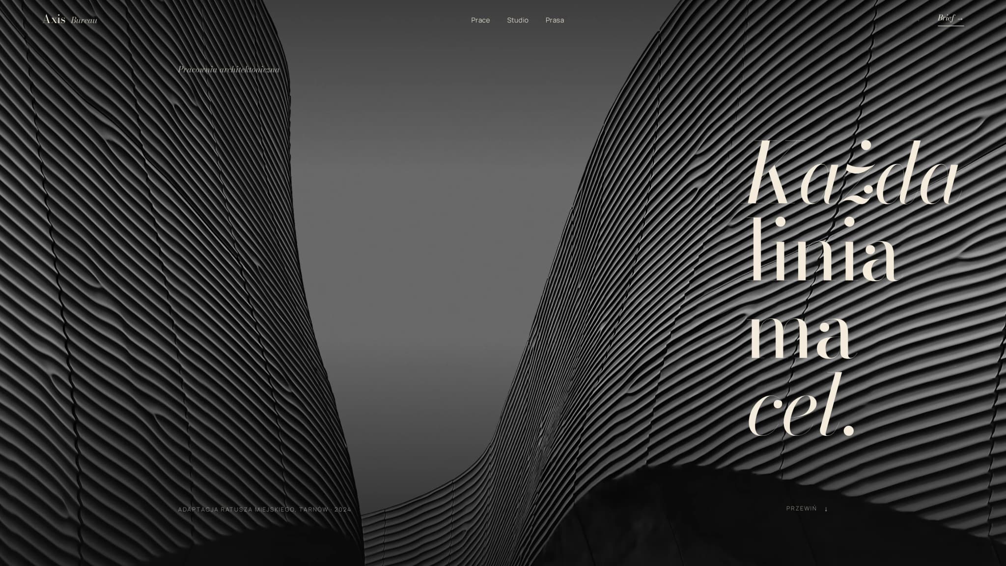 Axis Bureau, pracownia architektoniczna w stylu Phaidon photo book monochrome